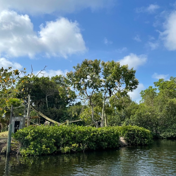 Meet your Posher, Tori - Picture 2 of 3